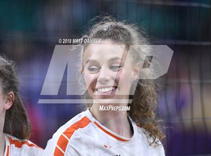 Thumbnail 1 in Lewis-Palmer vs. Holy Family (CHSAA 4A Semifinal) photogallery.