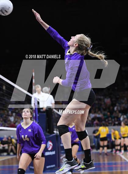 Thumbnail 3 in Lewis-Palmer vs. Holy Family (CHSAA 4A Semifinal) photogallery.