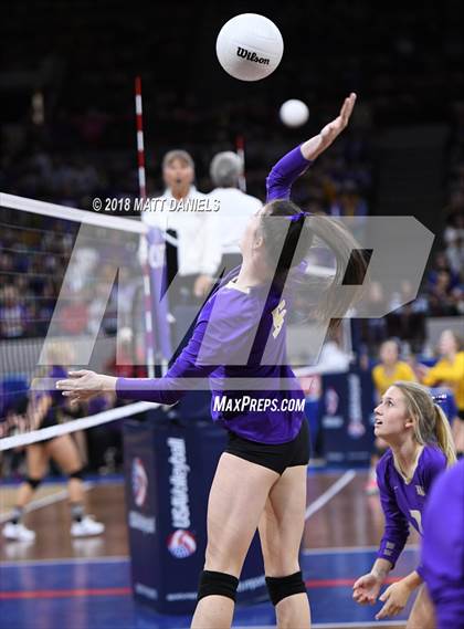 Thumbnail 1 in Lewis-Palmer vs. Holy Family (CHSAA 4A Semifinal) photogallery.