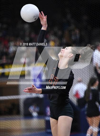 Thumbnail 1 in Lewis-Palmer vs. Holy Family (CHSAA 4A Semifinal) photogallery.