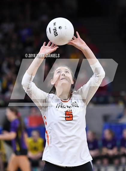 Thumbnail 2 in Lewis-Palmer vs. Holy Family (CHSAA 4A Semifinal) photogallery.