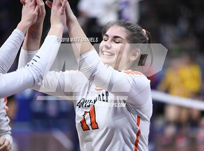 Thumbnail 3 in Lewis-Palmer vs. Holy Family (CHSAA 4A Semifinal) photogallery.