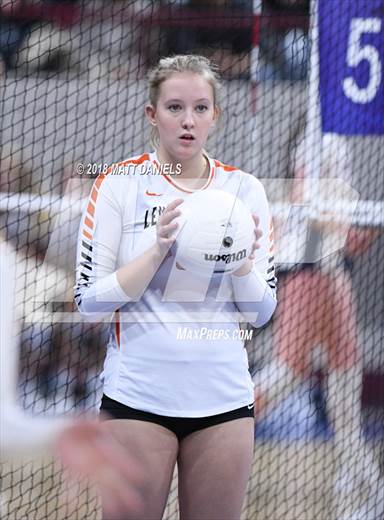 null - Photo 01