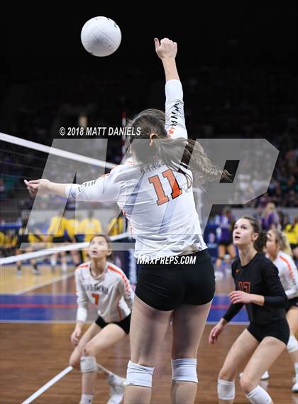 Thumbnail 3 in Lewis-Palmer vs. Holy Family (CHSAA 4A Semifinal) photogallery.
