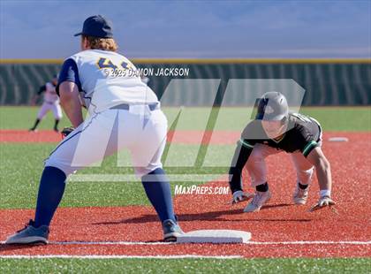 Thumbnail 1 in Bonneville vs Virgin Valley (Cactus Classic) photogallery.