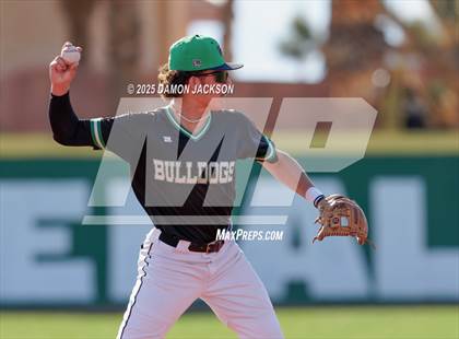 Thumbnail 1 in Bonneville vs Virgin Valley (Cactus Classic) photogallery.