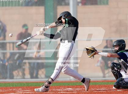Thumbnail 1 in Bonneville vs Virgin Valley (Cactus Classic) photogallery.