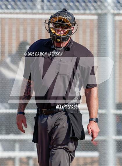 Thumbnail 1 in Bonneville vs Virgin Valley (Cactus Classic) photogallery.