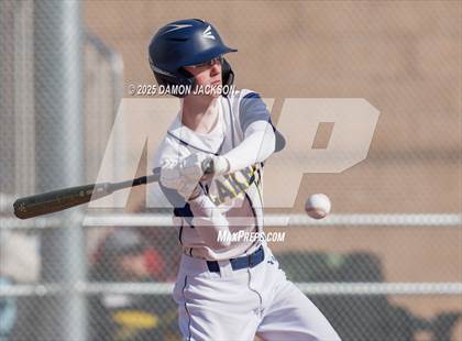 Thumbnail 2 in Bonneville vs Virgin Valley (Cactus Classic) photogallery.