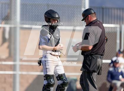Thumbnail 1 in Bonneville vs Virgin Valley (Cactus Classic) photogallery.