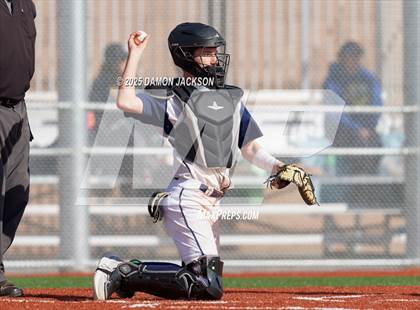Thumbnail 2 in Bonneville vs Virgin Valley (Cactus Classic) photogallery.