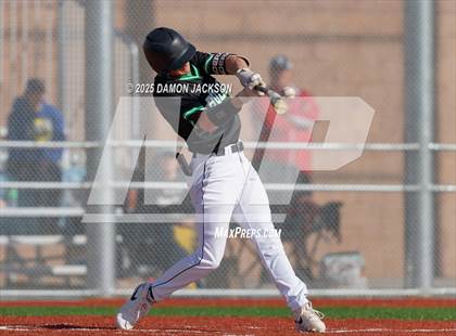 Thumbnail 2 in Bonneville vs Virgin Valley (Cactus Classic) photogallery.