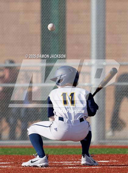 Thumbnail 1 in Bonneville vs Virgin Valley (Cactus Classic) photogallery.