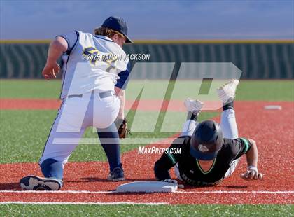 Thumbnail 1 in Bonneville vs Virgin Valley (Cactus Classic) photogallery.