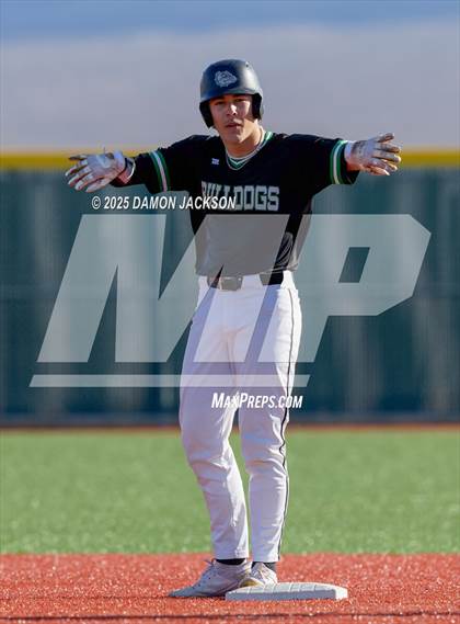Thumbnail 1 in Bonneville vs Virgin Valley (Cactus Classic) photogallery.