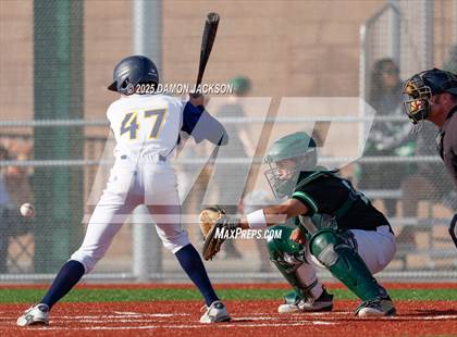 Thumbnail 2 in Bonneville vs Virgin Valley (Cactus Classic) photogallery.