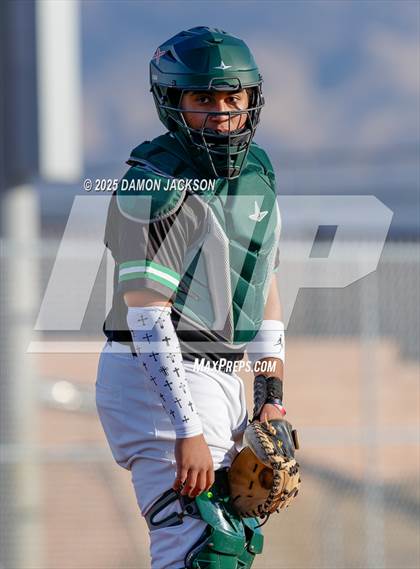 Thumbnail 1 in Bonneville vs Virgin Valley (Cactus Classic) photogallery.