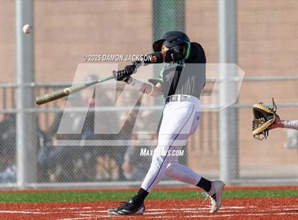 Thumbnail 1 in Bonneville vs Virgin Valley (Cactus Classic) photogallery.