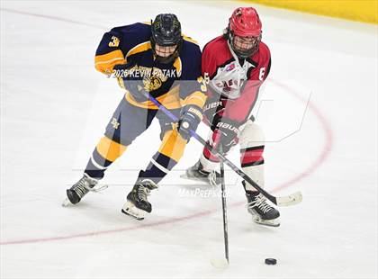 Thumbnail 1 in East Haven vs. Cheshire (CIAC DII Final) photogallery.