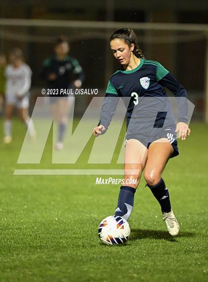 Thumbnail 1 in ThunderRidge vs. Fairview (CHSAA 5A Semi-FInal) photogallery.