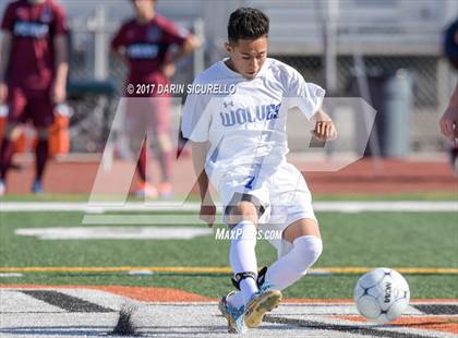Thumbnail 3 in Chandler vs. Perry (Coyote Classic Semifinal) photogallery.