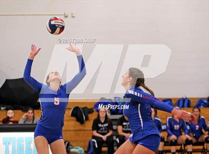 Thumbnail 1 in Hale Ray vs. Coventry (CIAC Class S Semifinal) photogallery.