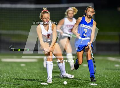 Thumbnail 3 in Webster Schroeder @ Penfield (NYSPHSAA Section V Class A Quarterfinals) photogallery.