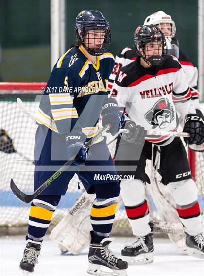 Thumbnail 1 in Needham @ Wellesley photogallery.