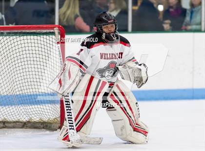 Thumbnail 1 in Needham @ Wellesley photogallery.