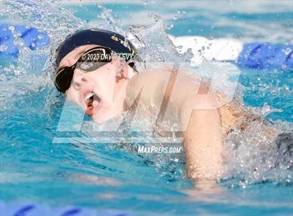 Thumbnail 1 in AIA D2 Swim Finals photogallery.