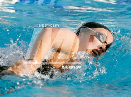 Thumbnail 1 in AIA D2 Swim Finals photogallery.