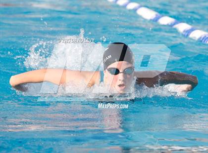Thumbnail 2 in AIA D2 Swim Finals photogallery.