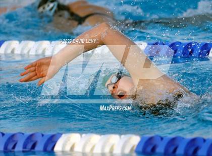 Thumbnail 2 in AIA D2 Swim Finals photogallery.