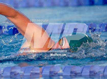 Thumbnail 2 in AIA D2 Swim Finals photogallery.