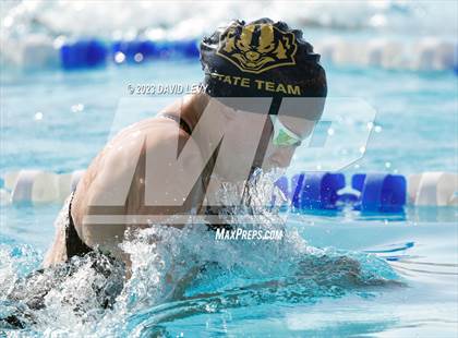 Thumbnail 1 in AIA D2 Swim Finals photogallery.
