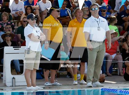 Thumbnail 2 in AIA D2 Swim Finals photogallery.