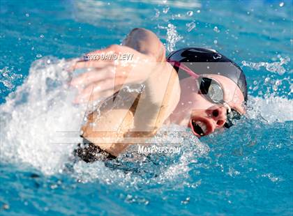 Thumbnail 3 in AIA D2 Swim Finals photogallery.
