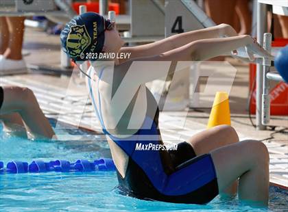 Thumbnail 1 in AIA D2 Swim Finals photogallery.