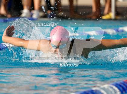 Thumbnail 3 in AIA D2 Swim Finals photogallery.