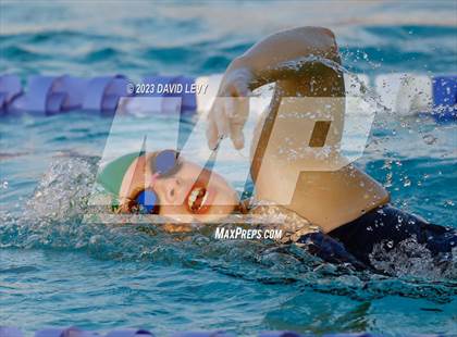 Thumbnail 2 in AIA D2 Swim Finals photogallery.