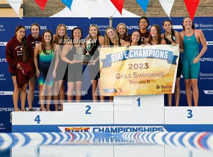 Thumbnail 3 in AIA D2 Swim Finals photogallery.