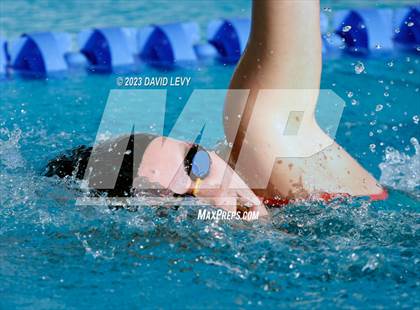 Thumbnail 1 in AIA D2 Swim Finals photogallery.