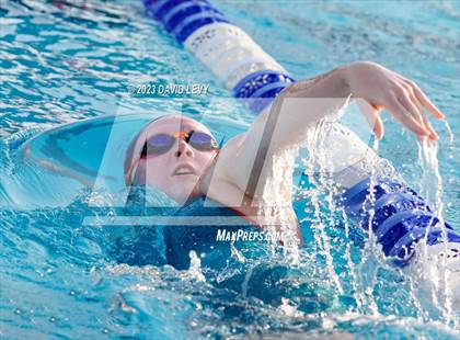 Thumbnail 2 in AIA D2 Swim Finals photogallery.
