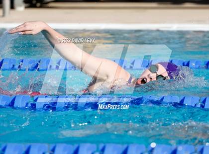 Thumbnail 3 in AIA D2 Swim Finals photogallery.