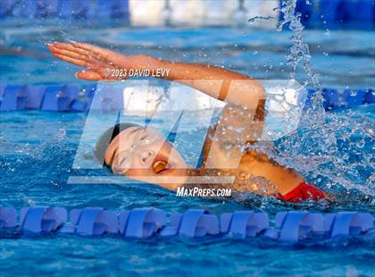 Thumbnail 2 in AIA D2 Swim Finals photogallery.