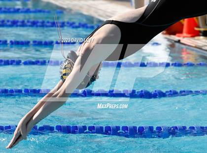 Thumbnail 2 in AIA D2 Swim Finals photogallery.