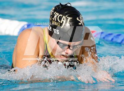 Thumbnail 3 in AIA D2 Swim Finals photogallery.