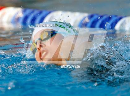 Thumbnail 1 in AIA D2 Swim Finals photogallery.