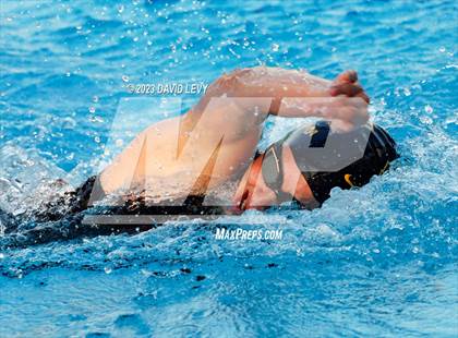 Thumbnail 1 in AIA D2 Swim Finals photogallery.