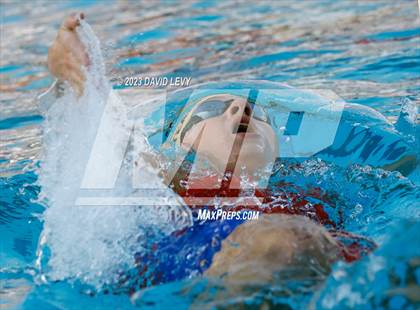 Thumbnail 2 in AIA D2 Swim Finals photogallery.